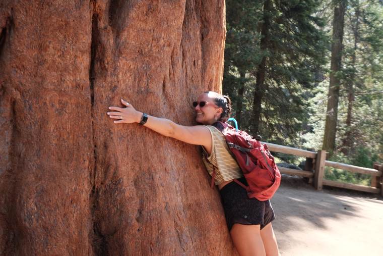 Hugging a giant sequoia on a forest trail